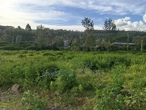 A Very Prime Residential 1/2 at Karen Rhino Park.