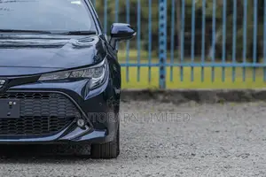 Toyota Corolla 2019 Blue