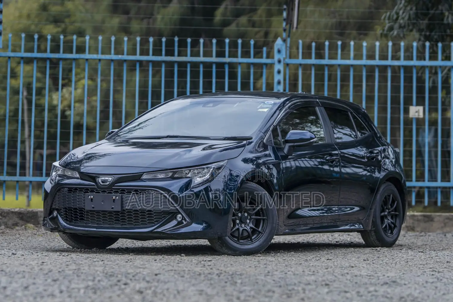 Toyota Corolla 2019 Blue