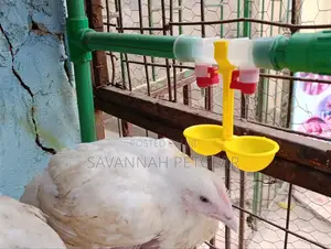 Double Outlet Drinking Hanging Chickens Cups Nipple Drinker
