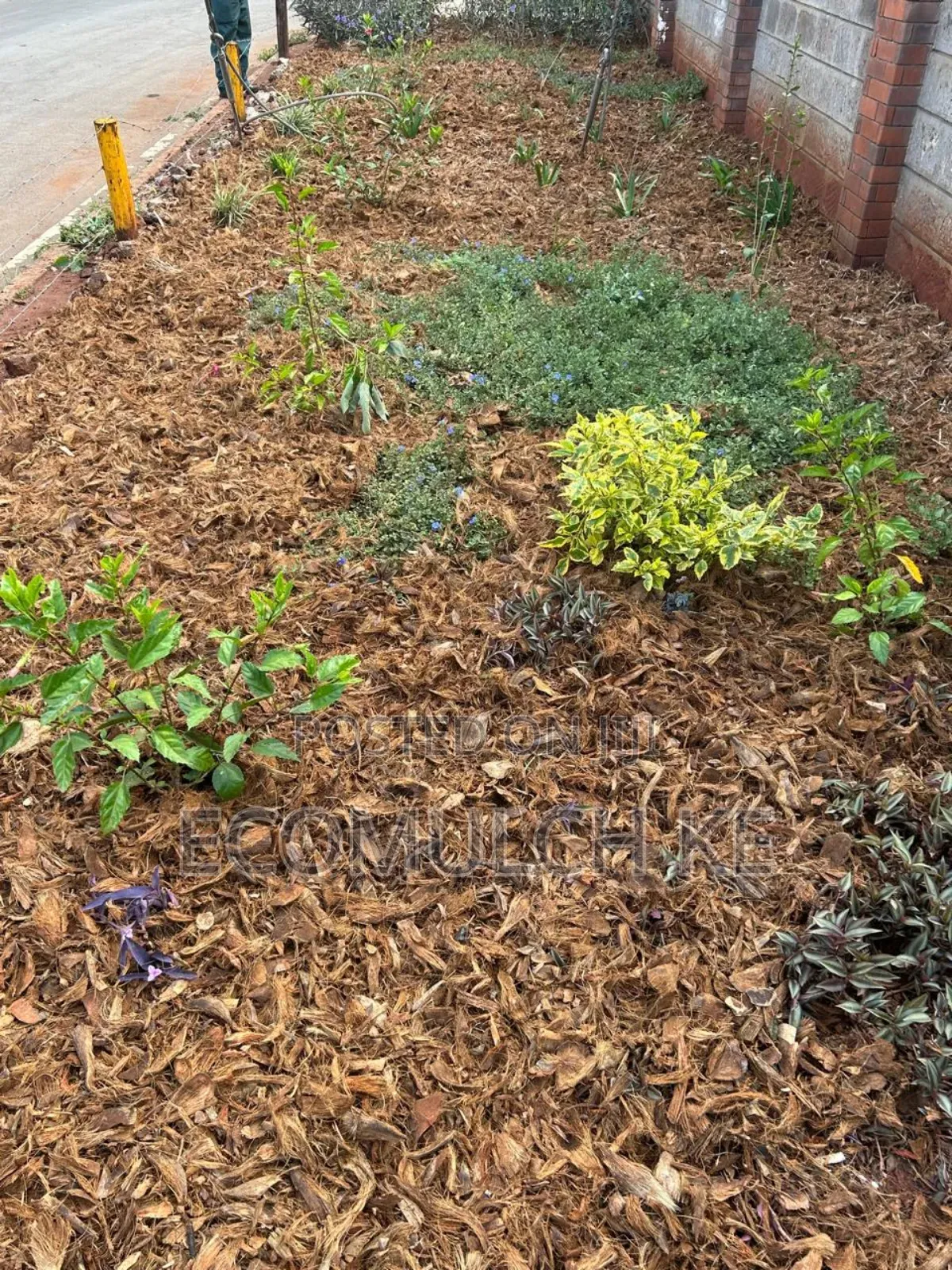 Coco Chunks Mulch