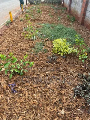 Coco Chunks Mulch