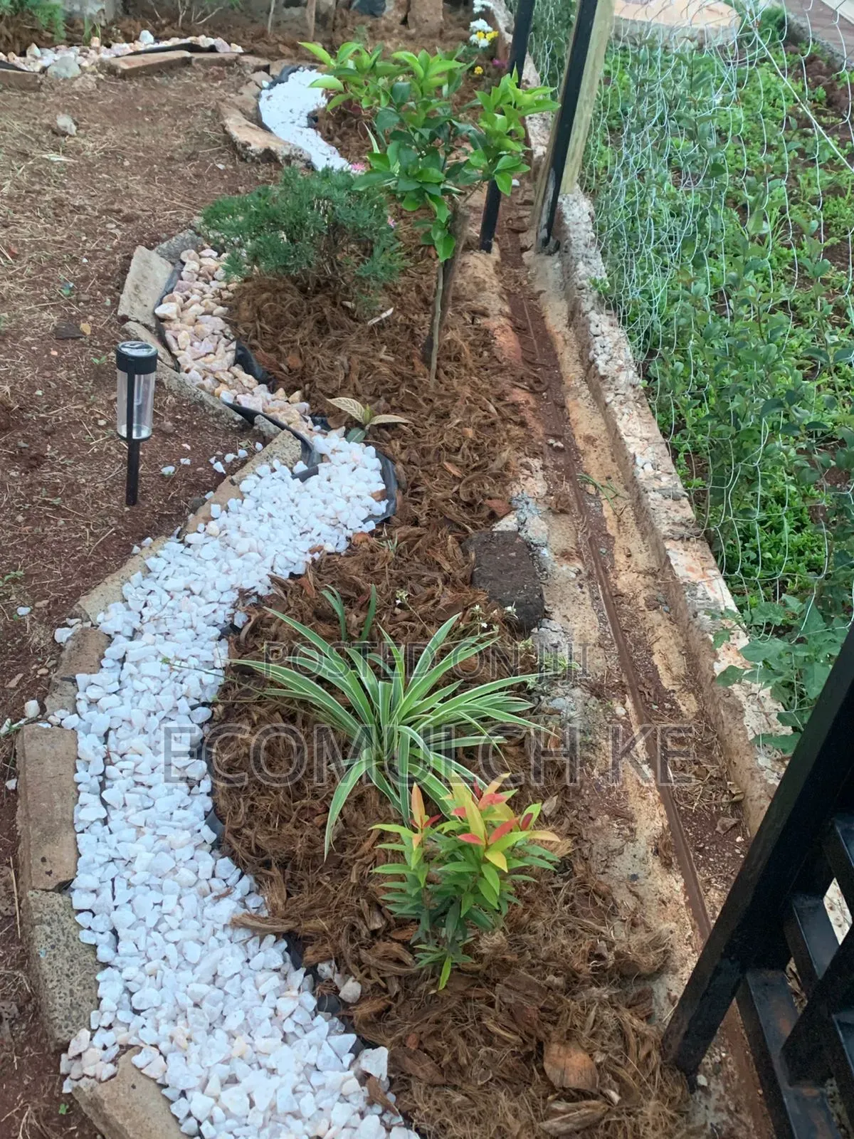 Coco Chunks Mulch