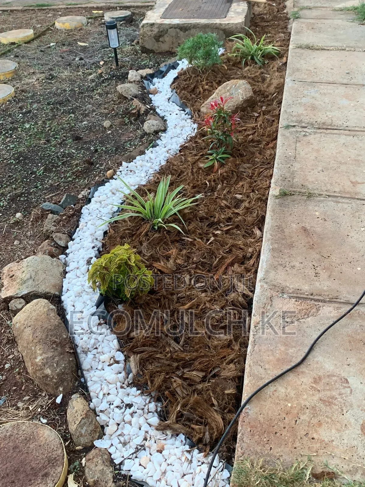 Coco Chunks Mulch