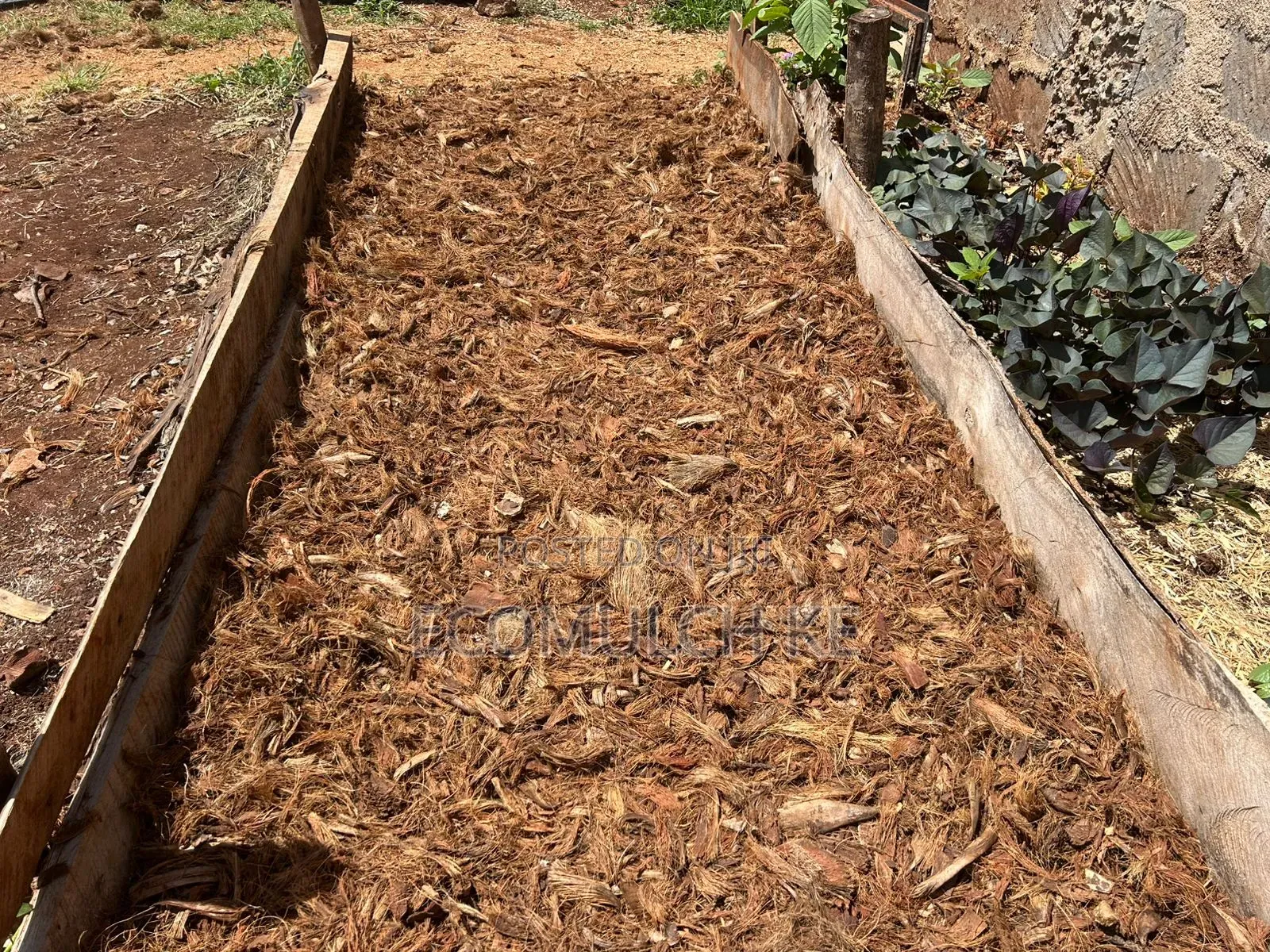 Coco Chunks Mulch