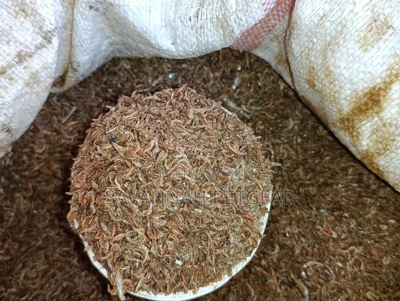 Dried Crayfish, Often Referred to in Kenya as Ochong'a - 5kg