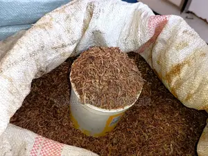 Dried Crayfish, Often Referred to in Kenya as Ochong'a - 5kg