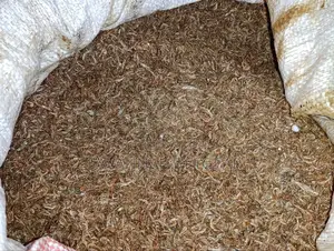 Dried Crayfish, Often Referred to in Kenya as Ochong'a - 5kg