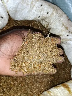 Dried Crayfish, Often Referred to in Kenya as Ochong'a - 5kg