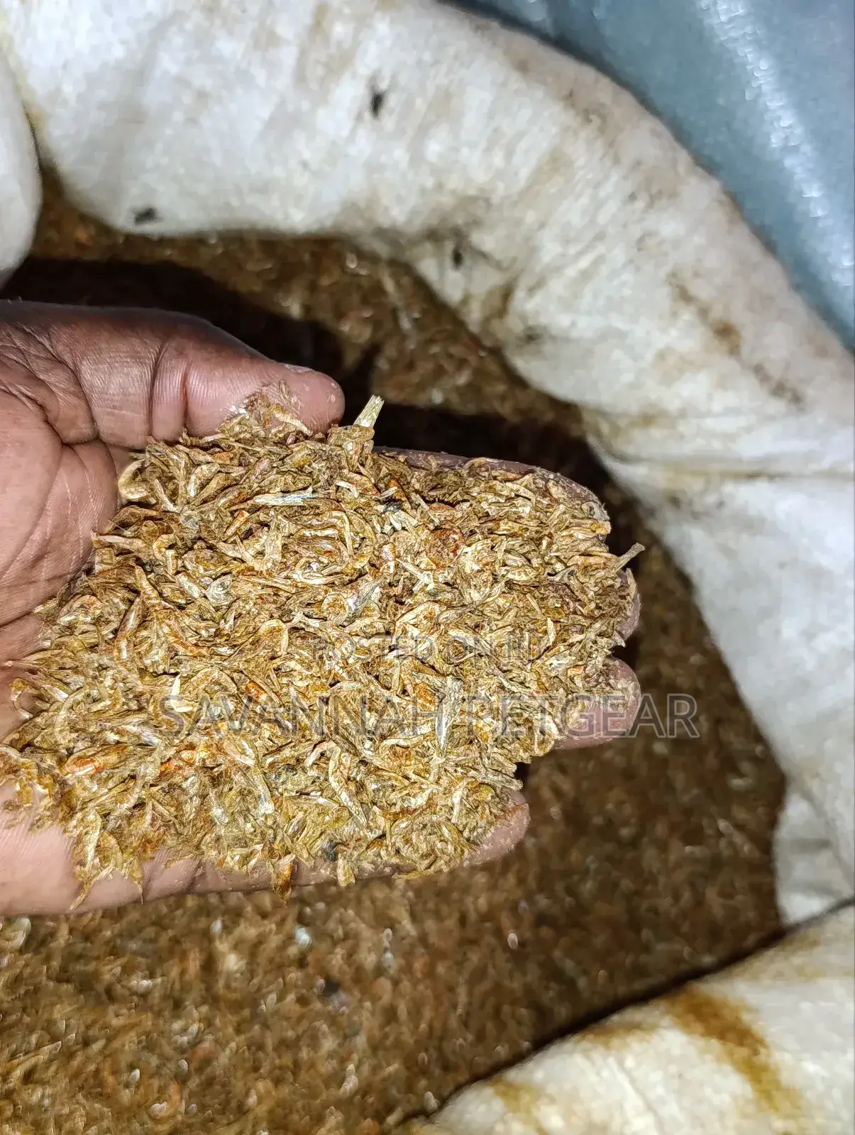 Dried Crayfish, Often Referred to in Kenya as Ochong'a - 5kg