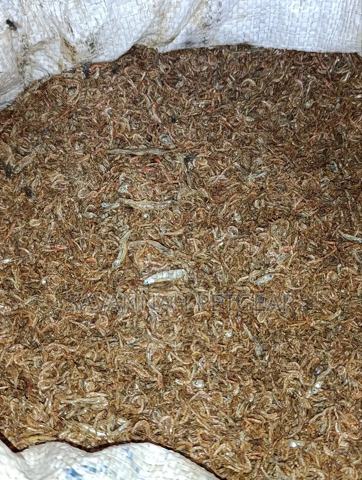 Dried Crayfish, Often Referred to in Kenya as Ochong'a - 5kg