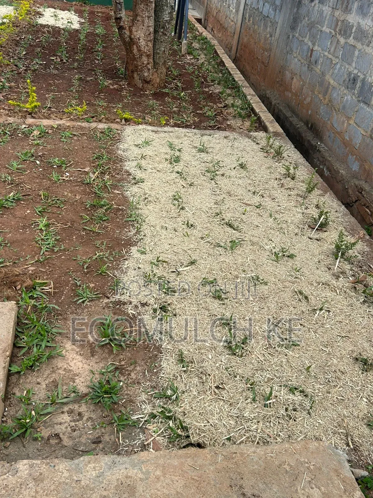 Miwa Mulch