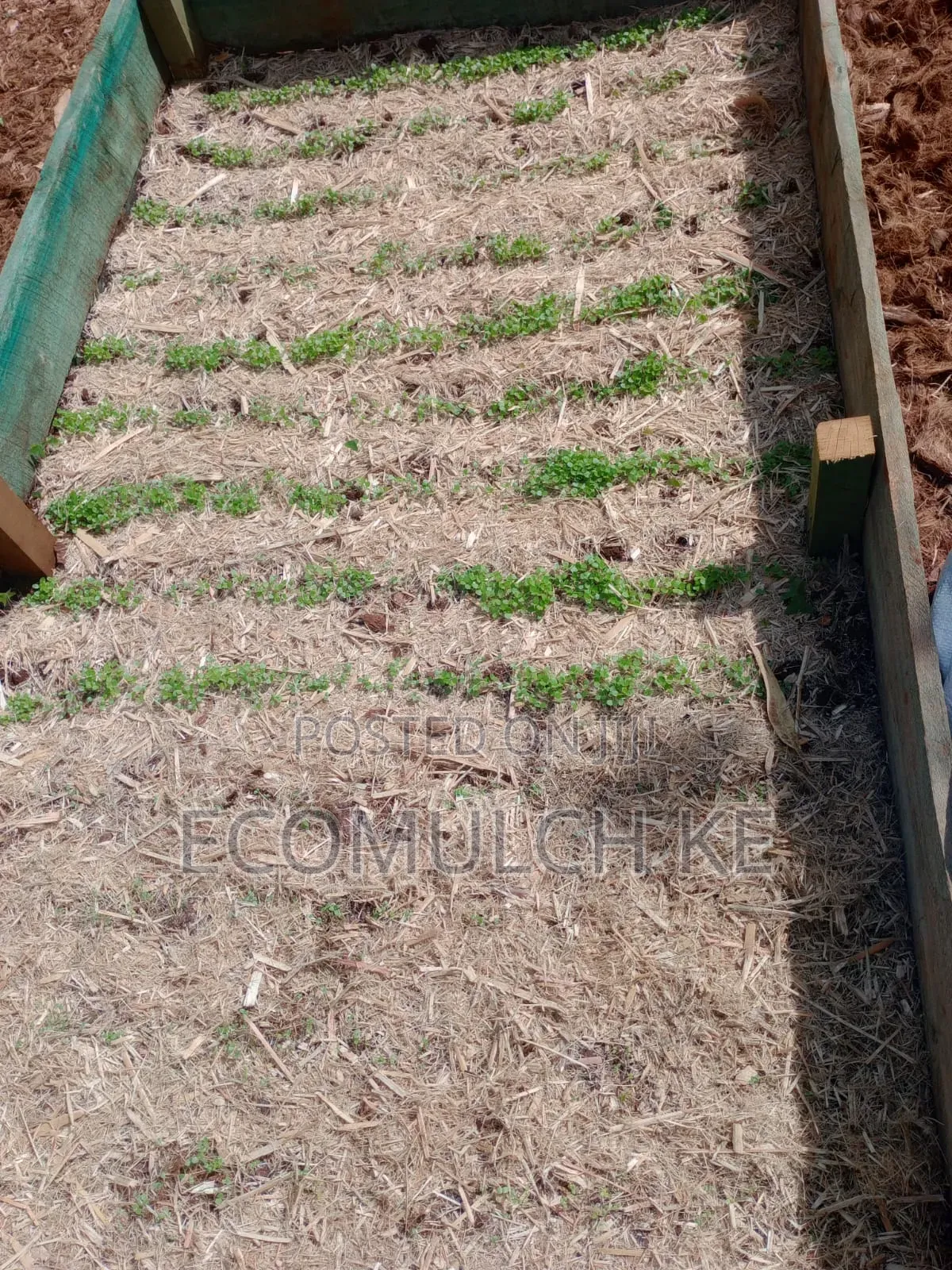 Miwa Mulch