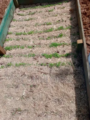 Miwa Mulch