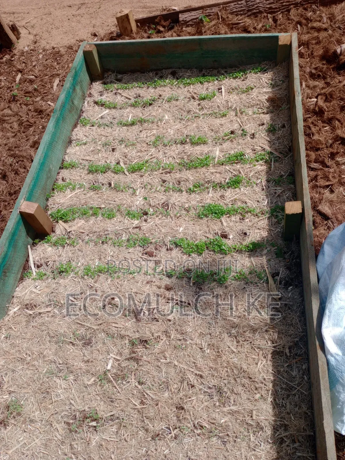 Miwa Mulch