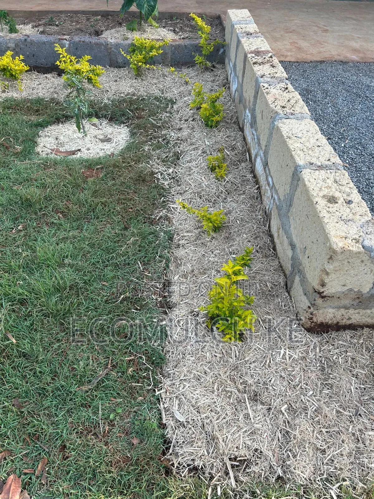 Miwa Mulch
