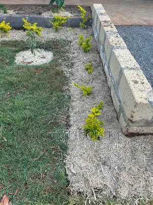 Miwa Mulch