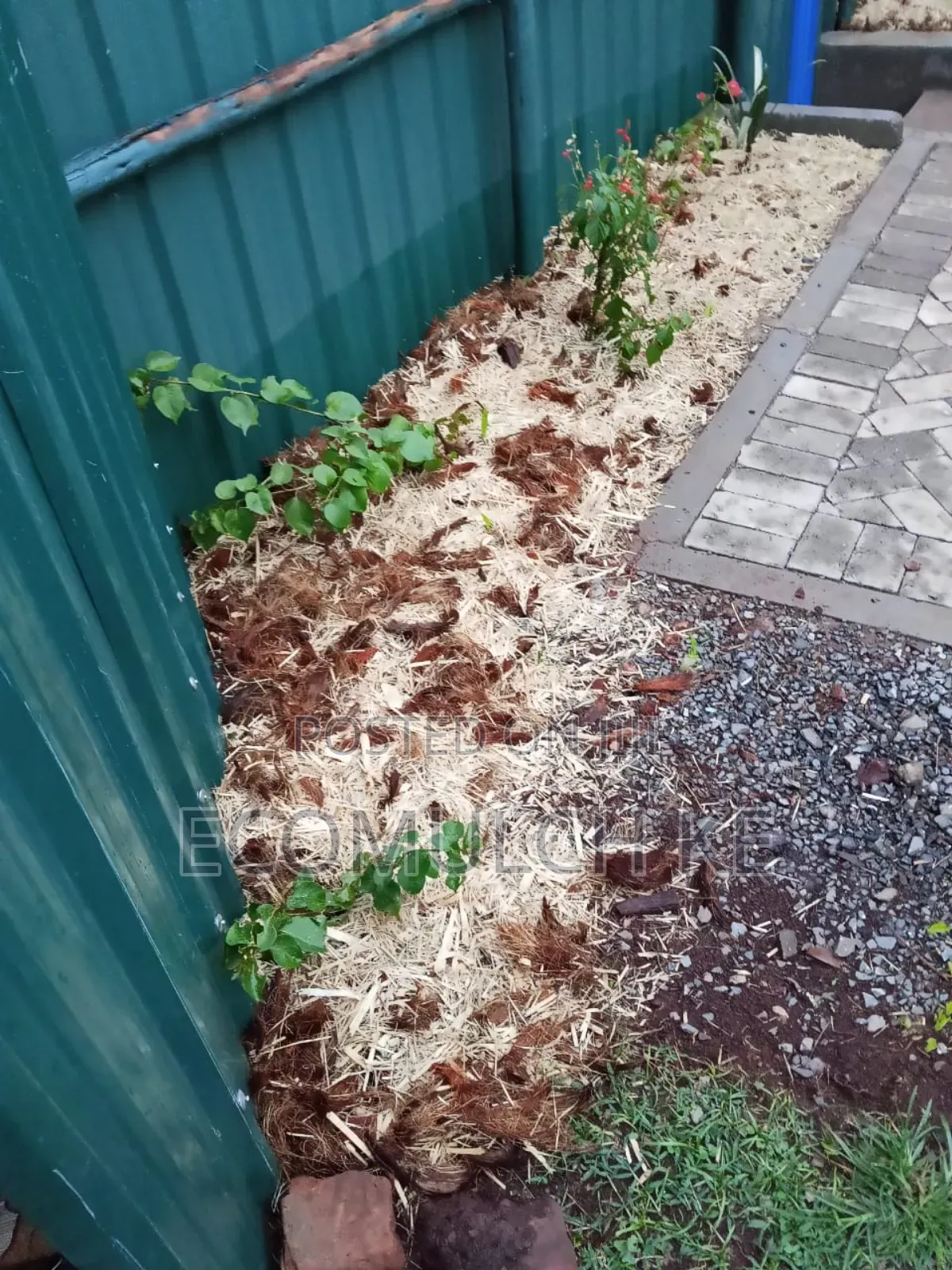 Miwa Mulch