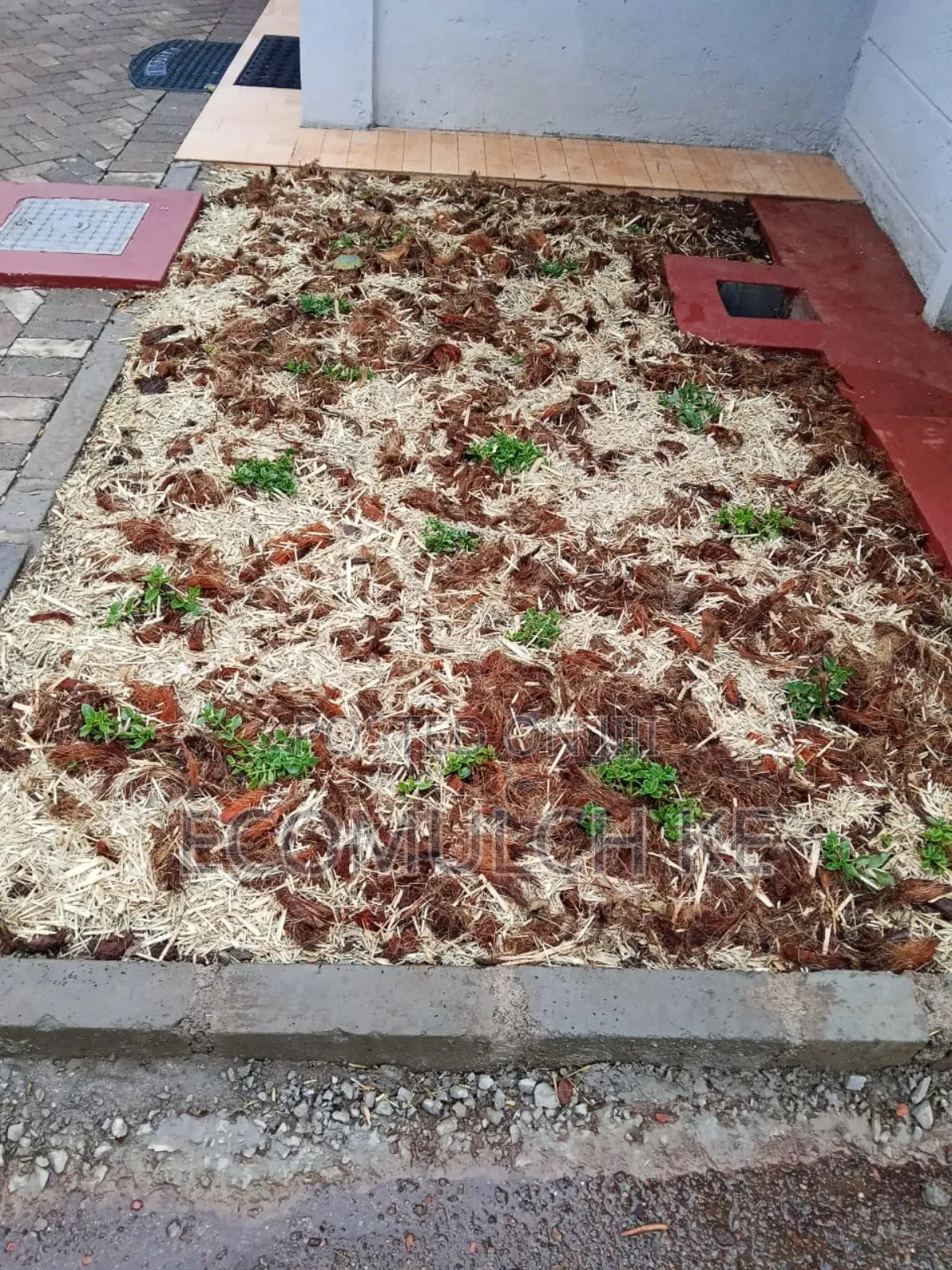 Miwa Mulch