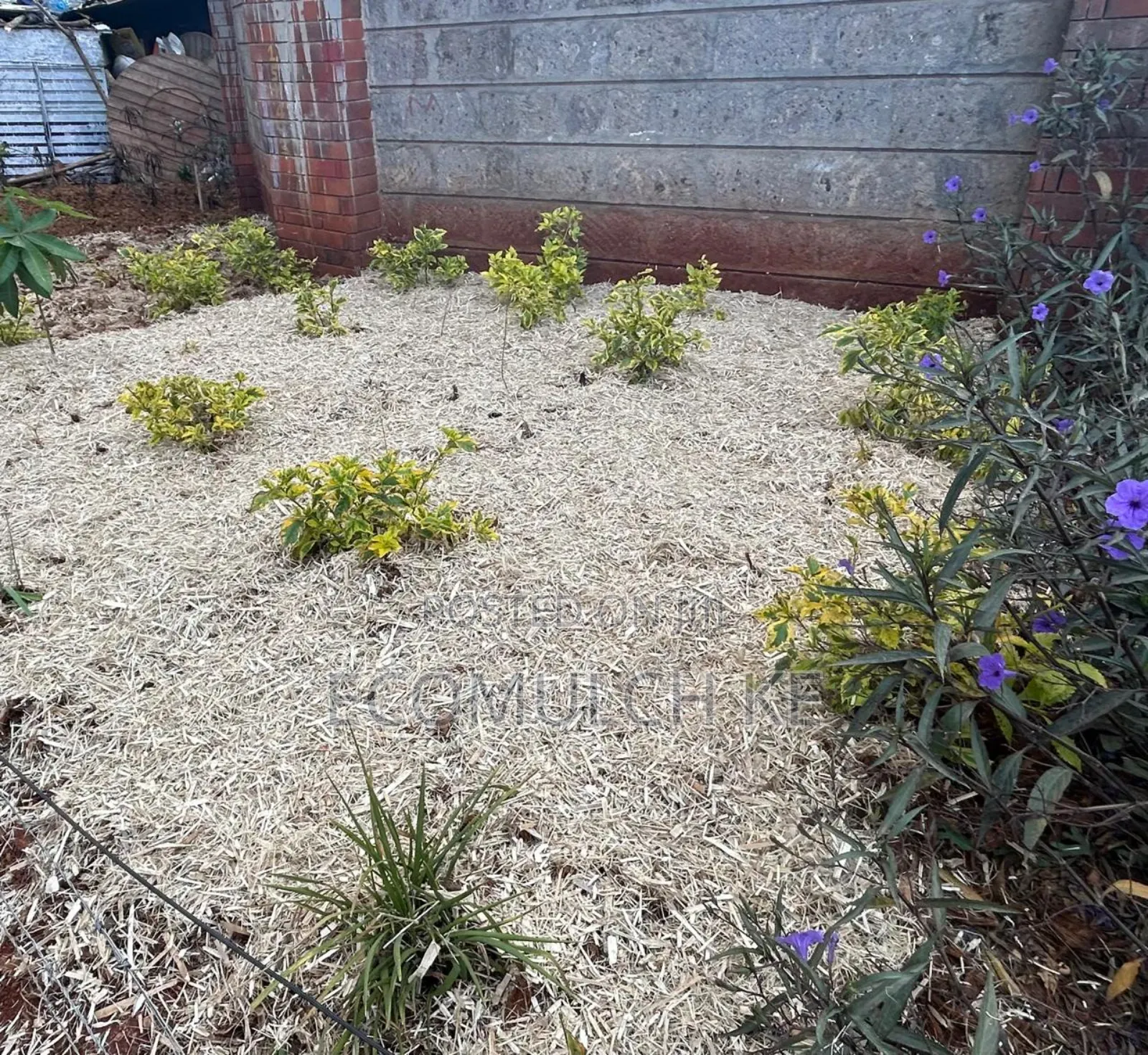 Miwa Mulch