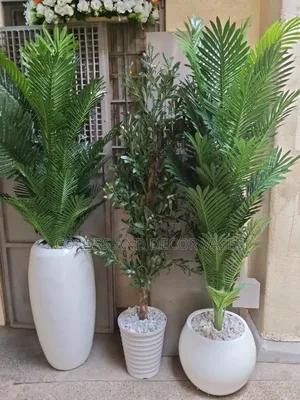 Palm Trees With Plastic Vase or Glass Fibre