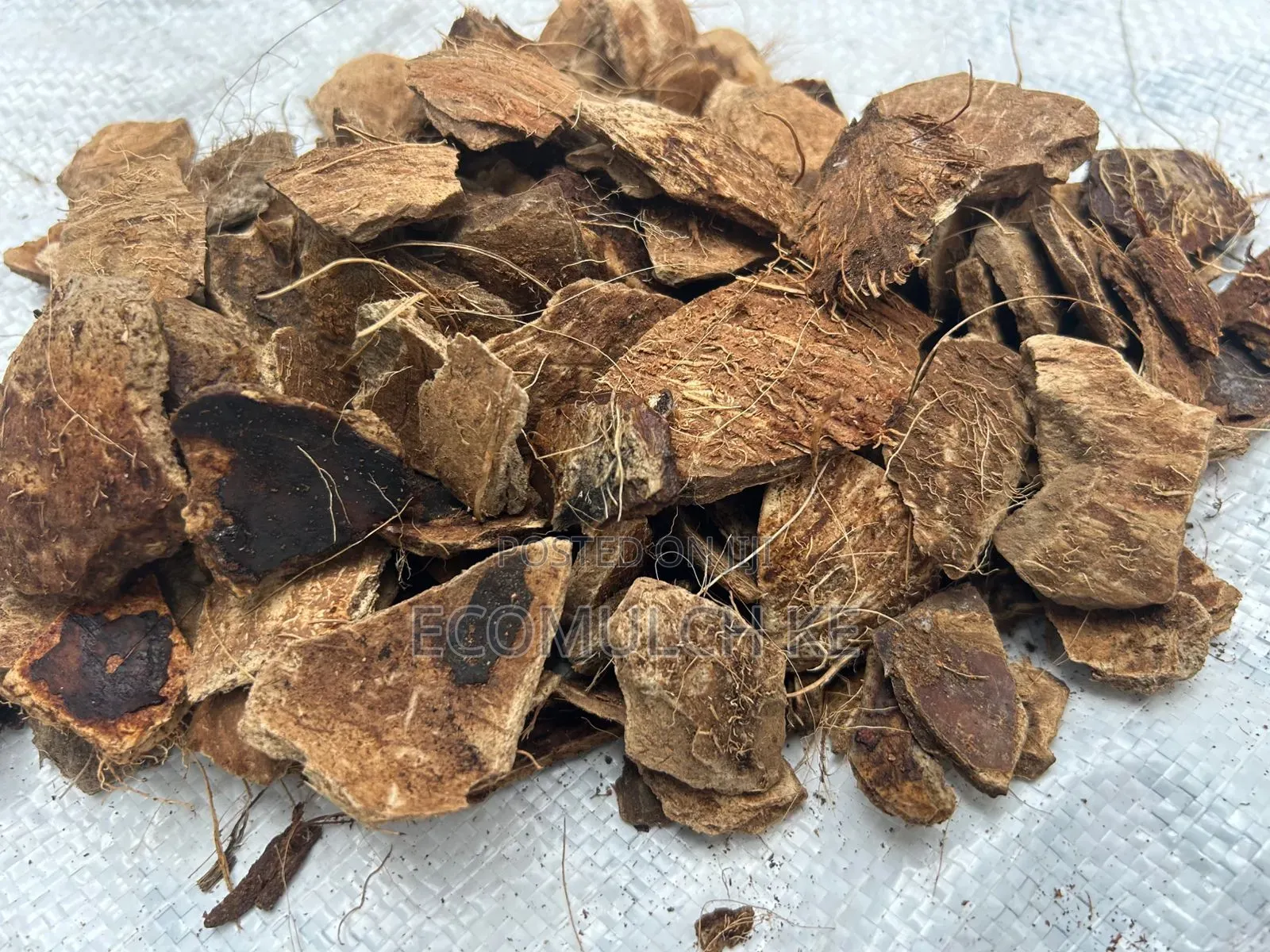 Coco Chips