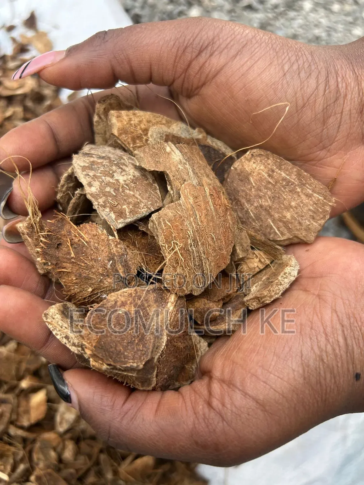 Coco Chips