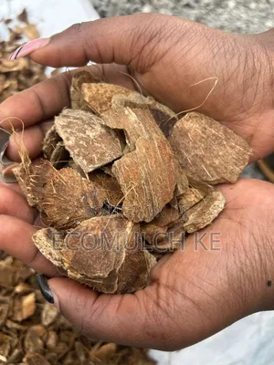 Coco Chips