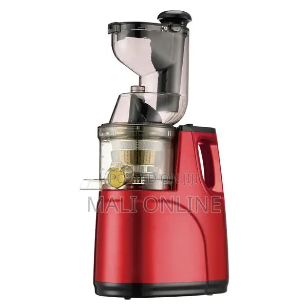 Slow Juicer Cold Press Juice Extractor 150w 0.5l Dual Container