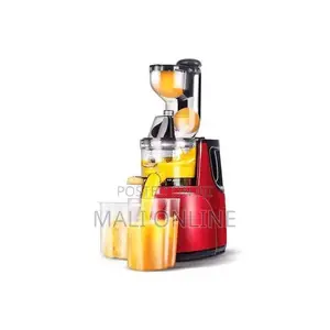 Slow Juicer Cold Press Juice Extractor 150w 0.5l Dual Container