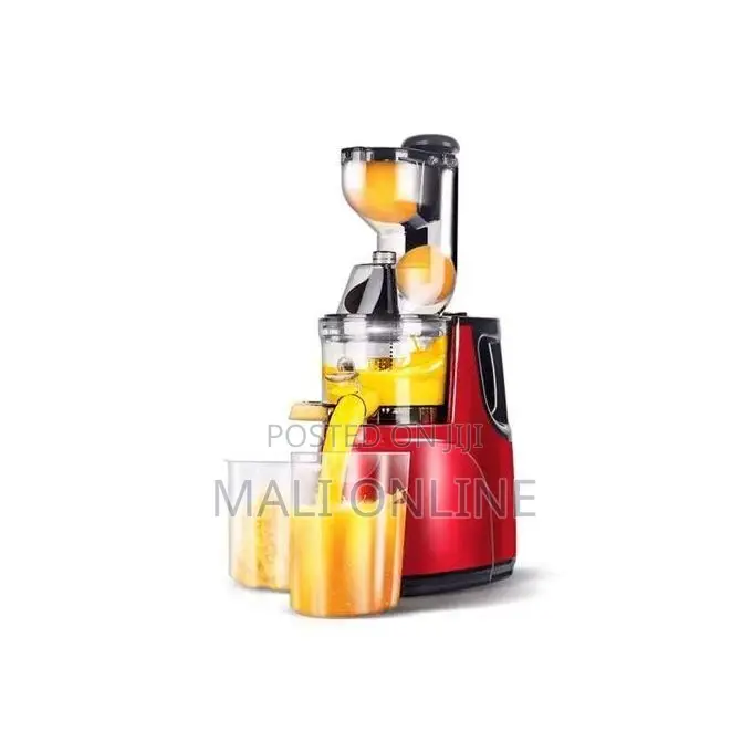Slow Juicer Cold Press Juice Extractor 150w 0.5l Dual Container