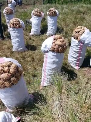 Agri Prodcts