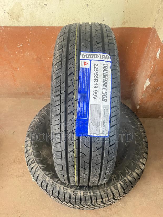 225/55r19 Goddard