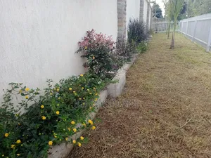 Prime Plots Plots Sale