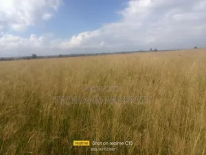 7acres Endarasha Nyeri.