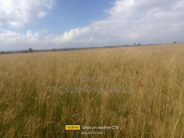 7acres Endarasha Nyeri. - main view