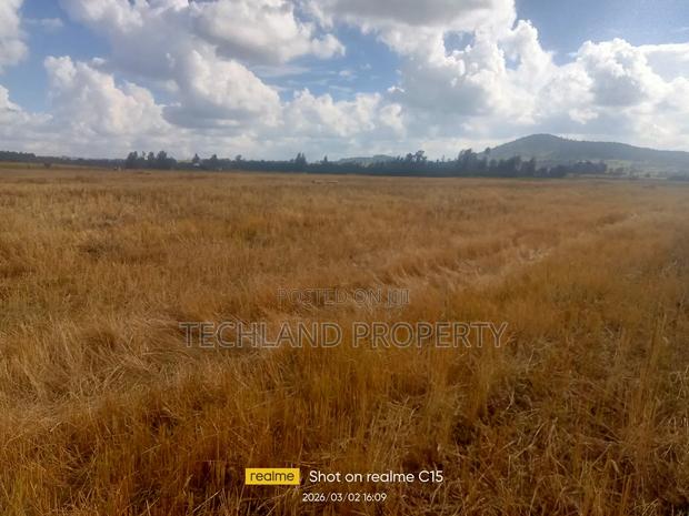 7acres Endarasha Nyeri. - thumbnail 3