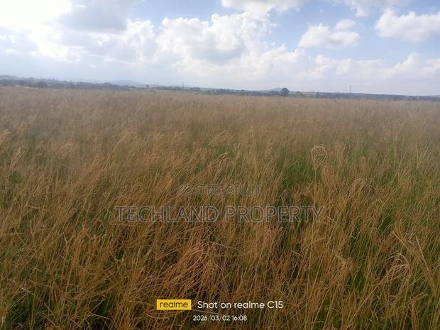 7acres Endarasha Nyeri. - thumbnail 4