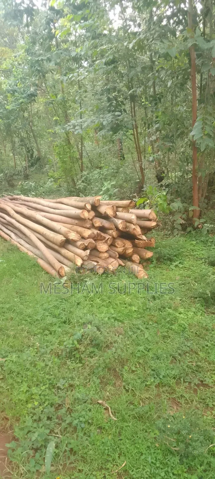 Poles Shutter Slab Timber