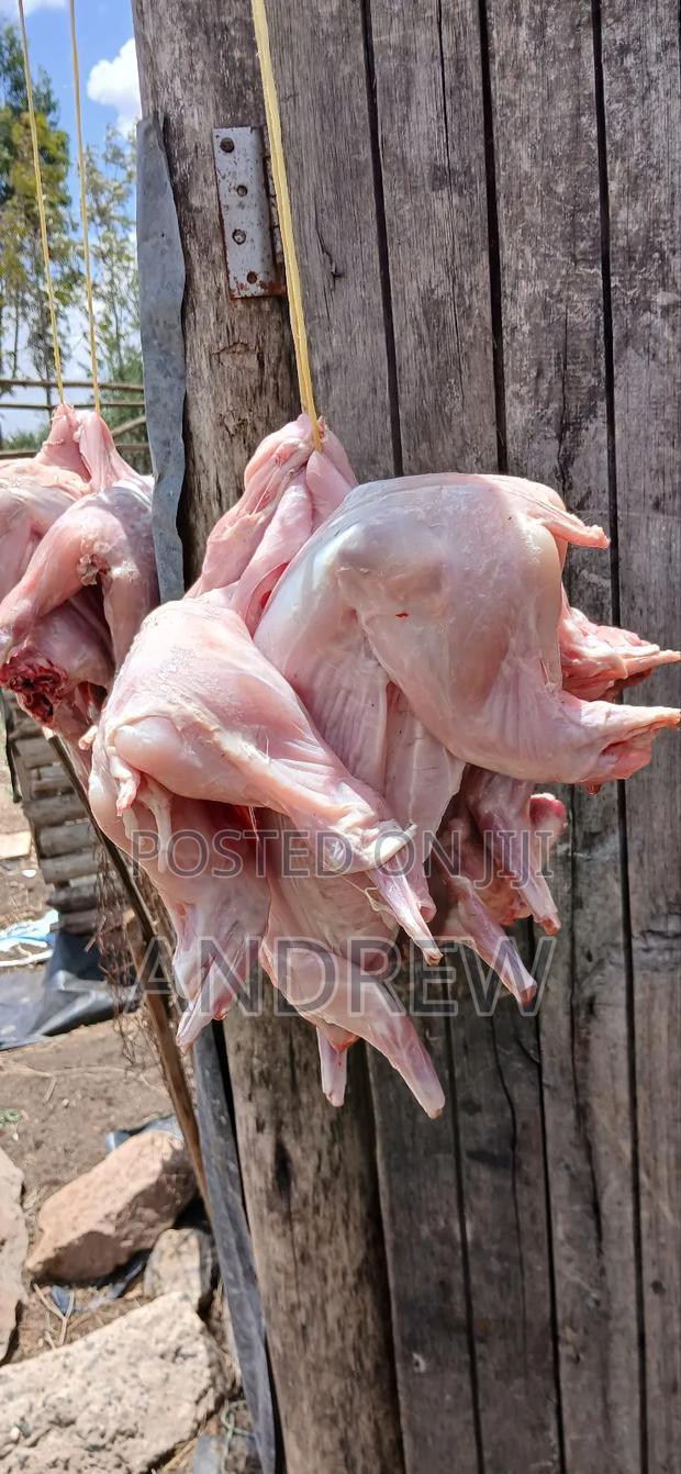 Rabbit Meat - thumbnail 5