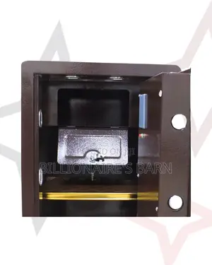 Fireproof Biometric Safe 70 Kg Programmable Keypad And Dual Alarm