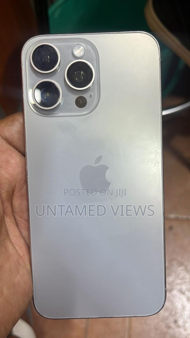 Apple iPhone 15 Pro Max 256 GB Gray - thumbnail 3