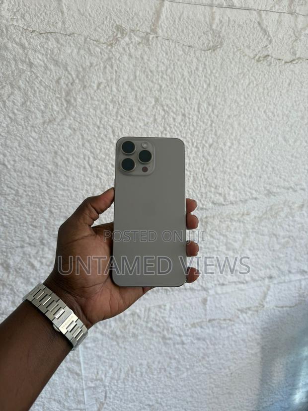 Apple iPhone 15 Pro Max 256 GB Gray