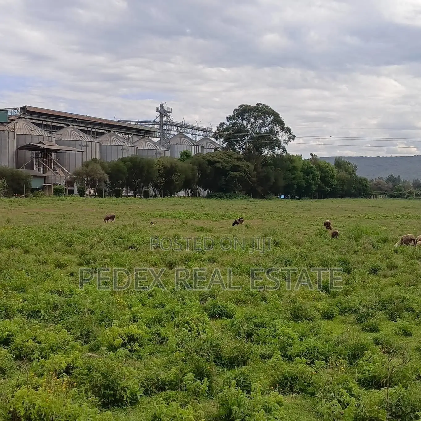 9 Acres in Mwariki, Mbaruk Road Junction, 2nd FRM Nakuru - NRB Highway