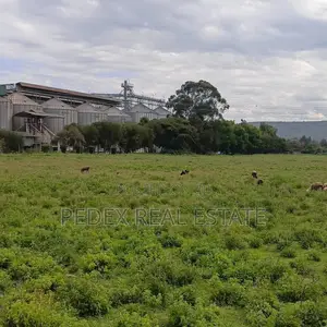 9 Acres in Mwariki, Mbaruk Road Junction, 2nd FRM Nakuru - NRB Highway