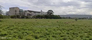 9 Acres in Mwariki, Mbaruk Road Junction, 2nd FRM Nakuru - NRB Highway
