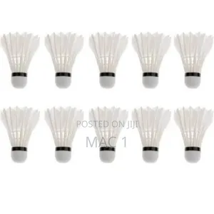 Durable Plastic Feathers for Long-Lasting Use