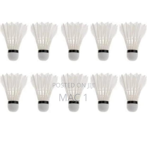Durable Plastic Feathers for Long-Lasting Use