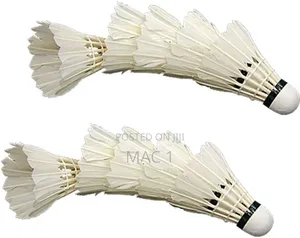 High Quality Shuttlecock Set for Indoor Outdoor Play