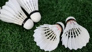 Training Badminton Shuttlecocks (3 Pieces Pack)